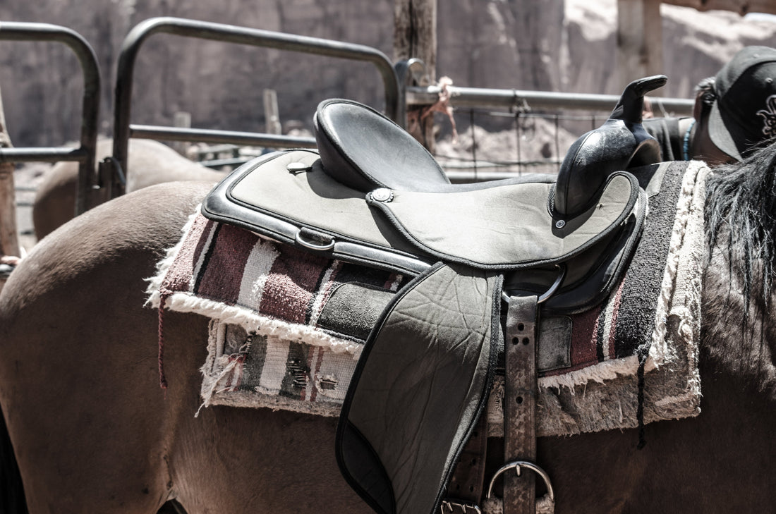 Saddled horse ready for work